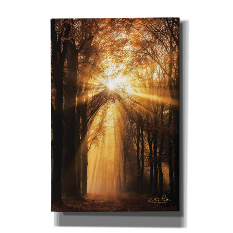 Image of 'Sunburst' by Martin Podt, Canvas Wall Art,Size A Portrait