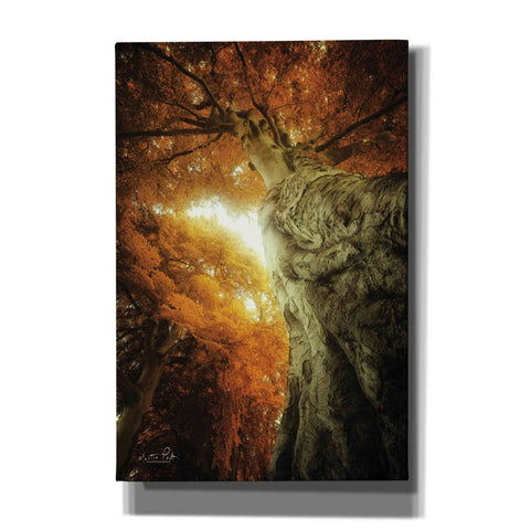 Image of 'Look Up Autumn' by Martin Podt, Canvas Wall Art,Size A Portrait