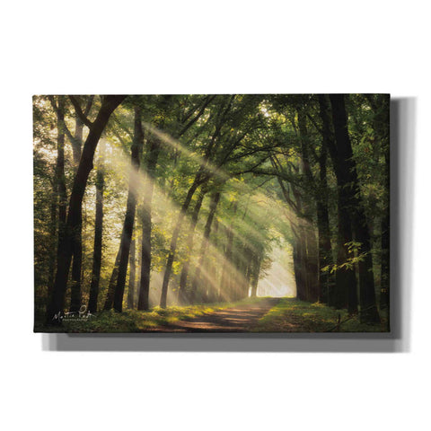 Image of 'The Light of Lochem' by Martin Podt, Canvas Wall Art,Size A Landscape