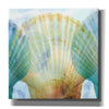 'Luminous Seashells 2' by Elena Ray Canvas Wall Art