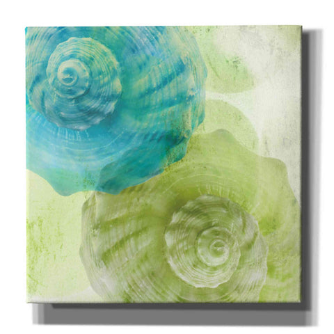 Image of 'Luminous Seashells 3' by Elena Ray Canvas Wall Art