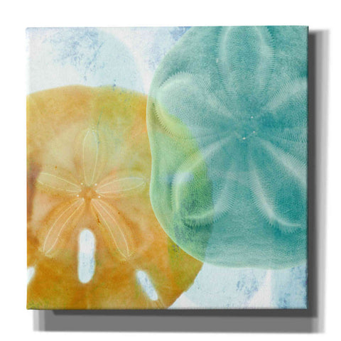 Image of 'Luminous Seashells' by Elena Ray Canvas Wall Art