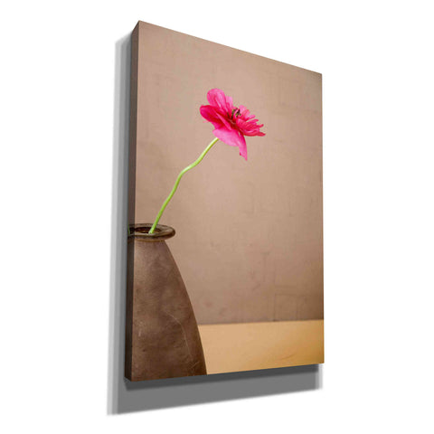 Image of 'Simple' by Elena Ray Canvas Wall Art