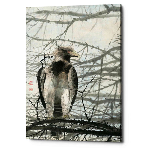 Image of 'Bird of Prey' by River Han, Giclee Canvas Wall Art