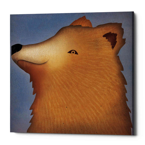 Image of 'Brown Bear Wow' by Ryan Fowler, Canvas Wall Art
