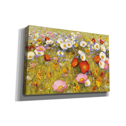 Image of 'Champ de Fleur III' by Shirley Novak, Canvas Wall Art