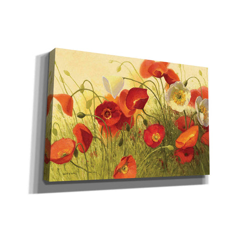 Image of 'Havin a Heat Wave' by Shirley Novak, Canvas Wall Art