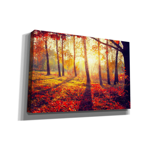 Image of 'Golden Afternoon' Canvas Wall Art