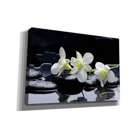 Image of 'The Light of Three' Giclee Canvas Wall Art