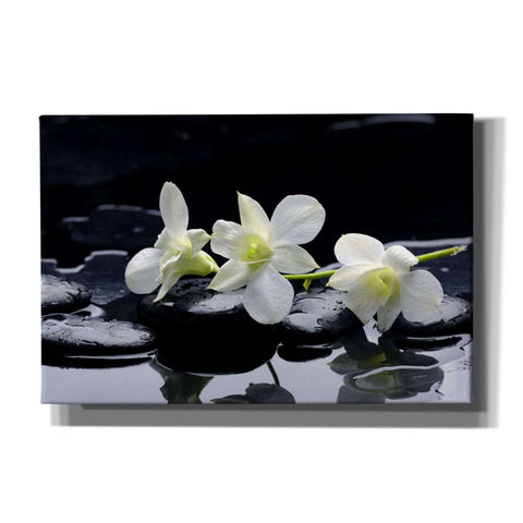 Image of 'The Light of Three' Giclee Canvas Wall Art