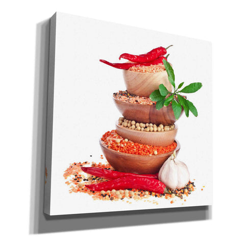 Image of 'Spice of Life' Giclee Canvas Wall Art