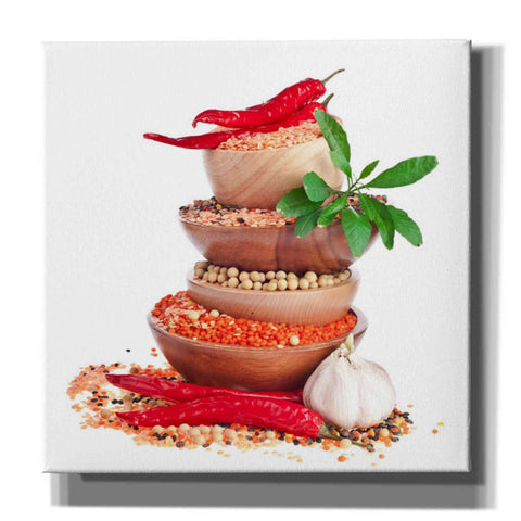 Image of 'Spice of Life' Giclee Canvas Wall Art