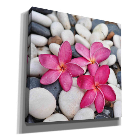 Image of 'Shintai II' Canvas Wall Art,Size 1 Square