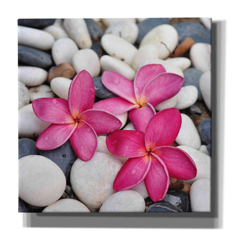 Image of 'Shintai II' Canvas Wall Art,Size 1 Square