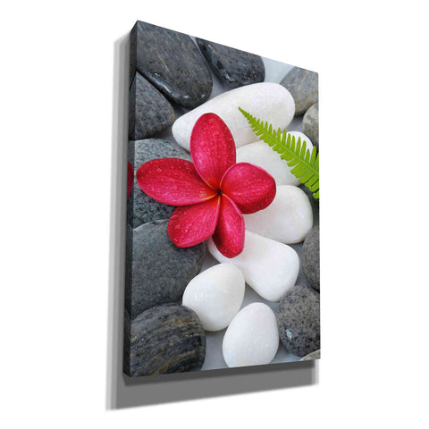 Image of 'Wabi-Sabi I' Canvas Wall Art,Size A Portrait