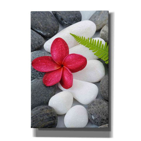 Image of 'Wabi-Sabi I' Canvas Wall Art,Size A Portrait