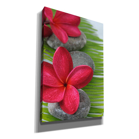 Image of 'Wabi Sabi II' Canvas Wall Art,Size A Portrait