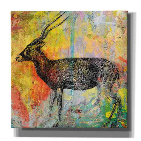 Image of 'Arty Beast 2' by Karen Smith, Canvas Wall Art