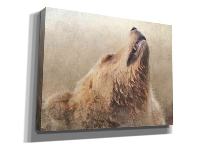 'Big Bear' by Karen Smith, Canvas Wall Art