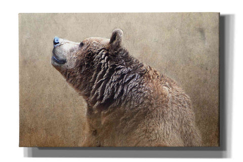Image of 'Big Bear' by Karen Smith, Canvas Wall Art