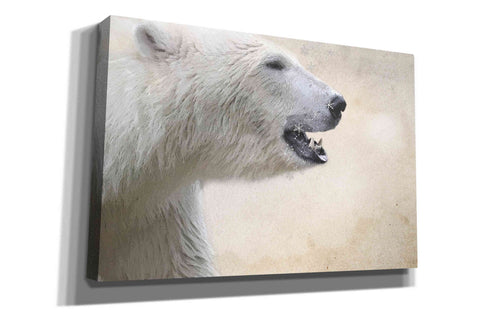 Image of 'Polar' by Karen Smith, Canvas Wall Art