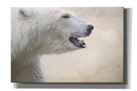 Image of 'Polar' by Karen Smith, Canvas Wall Art