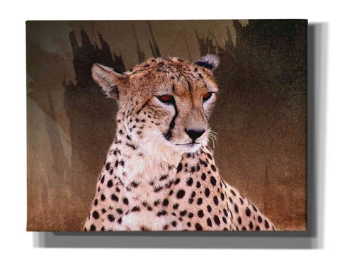 Image of 'Wildness Cheetah' by Karen Smith, Canvas Wall Art