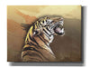 'Wildness Tiger' by Karen Smith, Canvas Wall Art