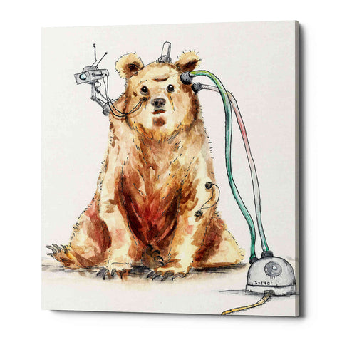 Image of 'Ruxpin' by Craig Snodgrass, Canvas Wall Art