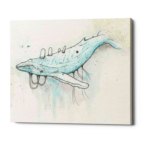 Image of 'Whale' by Craig Snodgrass, Canvas Wall Art