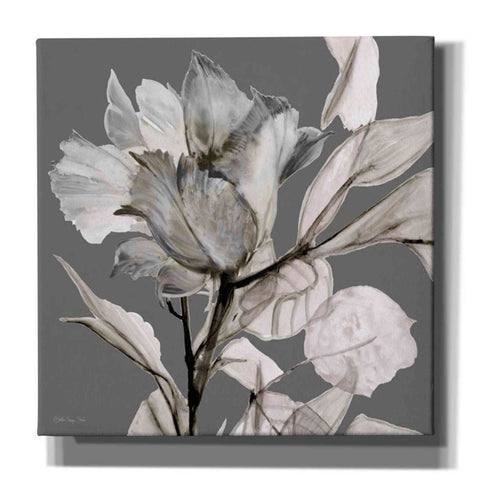 Image of 'Floral in Gray 2' by Stellar Design Studio, Canvas Wall Art,Size 1 Square