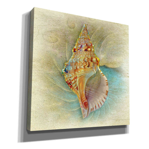 Image of 'Aquatica I' by Steve Hunziker Giclee Canvas Wall Art