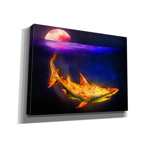 Image of 'Mako Shark' by Michael StewArt, Giclee Canvas Wall Art