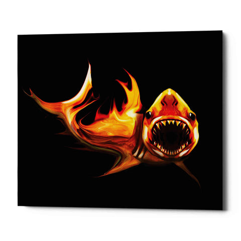 Image of 'White Shark' by Michael StewArt, Canvas Wall Art
