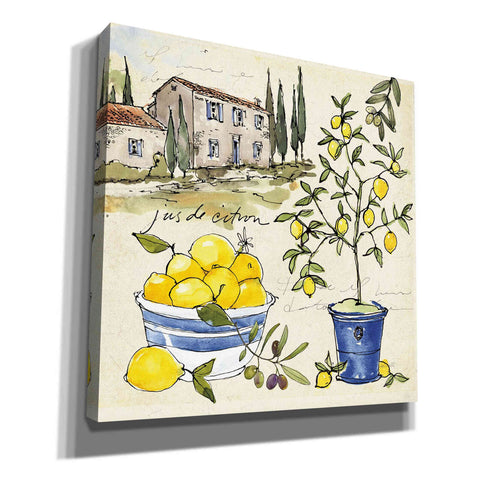 Image of 'Citron III' by Anne Tavoletti, Canvas Wall Art