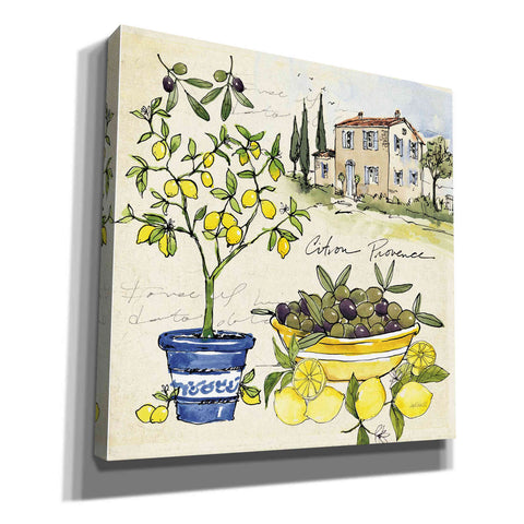 Image of 'Citron IV' by Anne Tavoletti, Canvas Wall Art