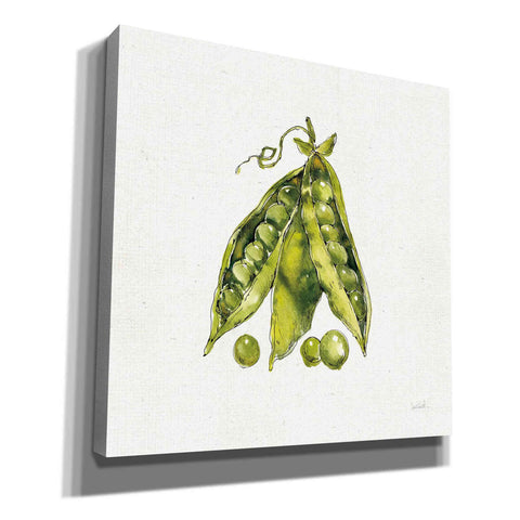 Image of 'Veggie Market IV Peas' by Anne Tavoletti, Canvas Wall Art