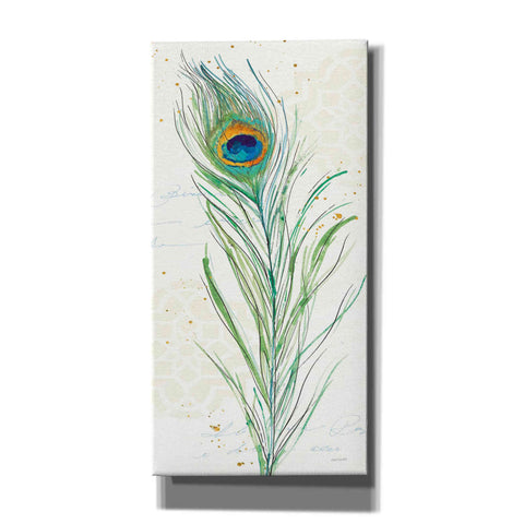 Image of 'Peacock Garden VI' by Anne Tavoletti, Canvas Wall Art