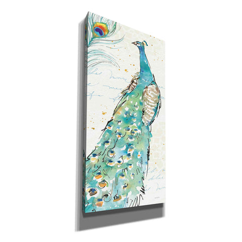 Image of 'Peacock Garden III' by Anne Tavoletti, Canvas Wall Art