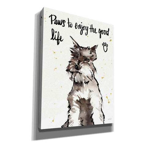 Image of 'Strike a Paws XIV' by Anne Tavoletti, Canvas Wall Art