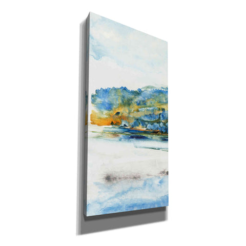 Image of 'Island Mist I' by Tim O'Toole Canvas Wall Art