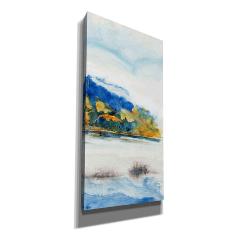 Image of 'Island Mist III' by Tim O'Toole Canvas Wall Art