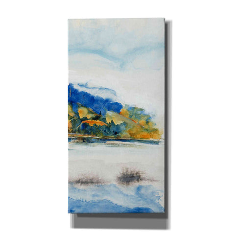 Image of 'Island Mist III' by Tim O'Toole Canvas Wall Art
