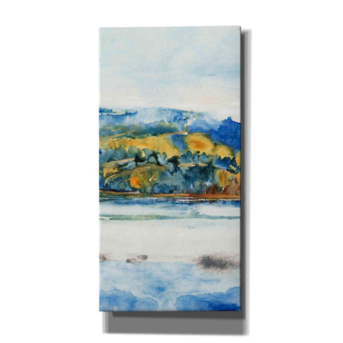 Image of 'Island Mist II' by Tim O'Toole Canvas Wall Art