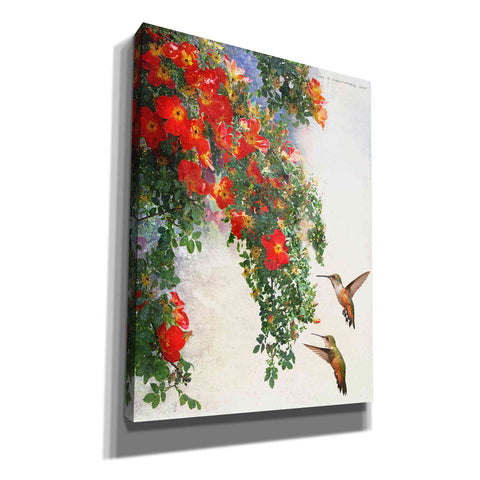 Image of 'Hanging Red Roses and Hummers' by Chris Vest, Giclee Canvas Wall Art