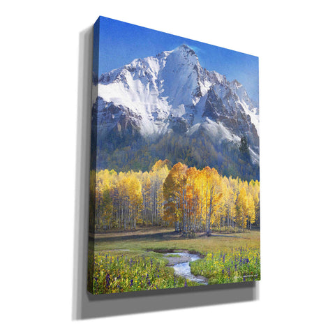 Image of 'Idyllic Mountain' by Chris Vest, Giclee Canvas Wall Art