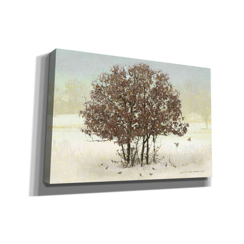 Image of 'Juncos and Oak' by Chris Vest, Giclee Canvas Wall Art