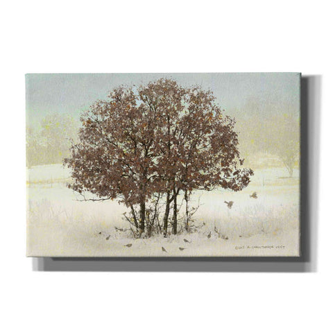 Image of 'Juncos and Oak' by Chris Vest, Giclee Canvas Wall Art