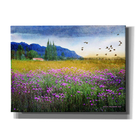 Image of 'Mesa Verde and Knapweed' by Chris Vest, Giclee Canvas Wall Art