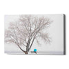 'Another Winter Alone' by Darren White, Canvas Wall Art